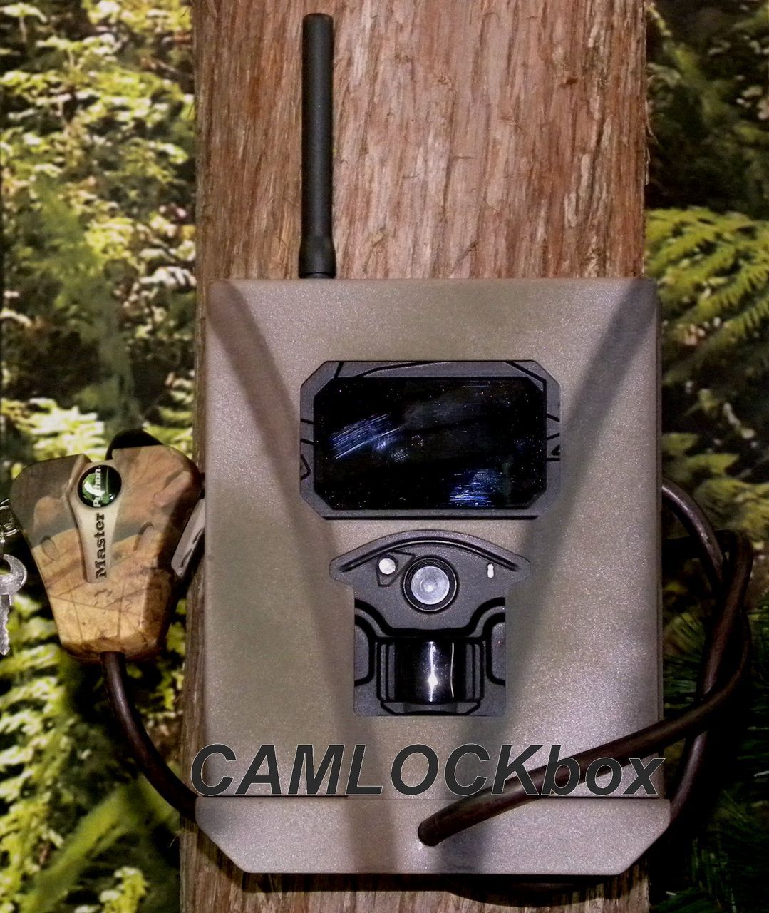Trail Camera Security Boxes by Camlocbox