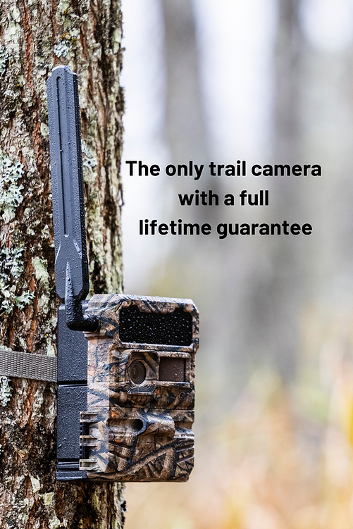 Yellowstone.ai Y2 4G Cellular Trail Camera