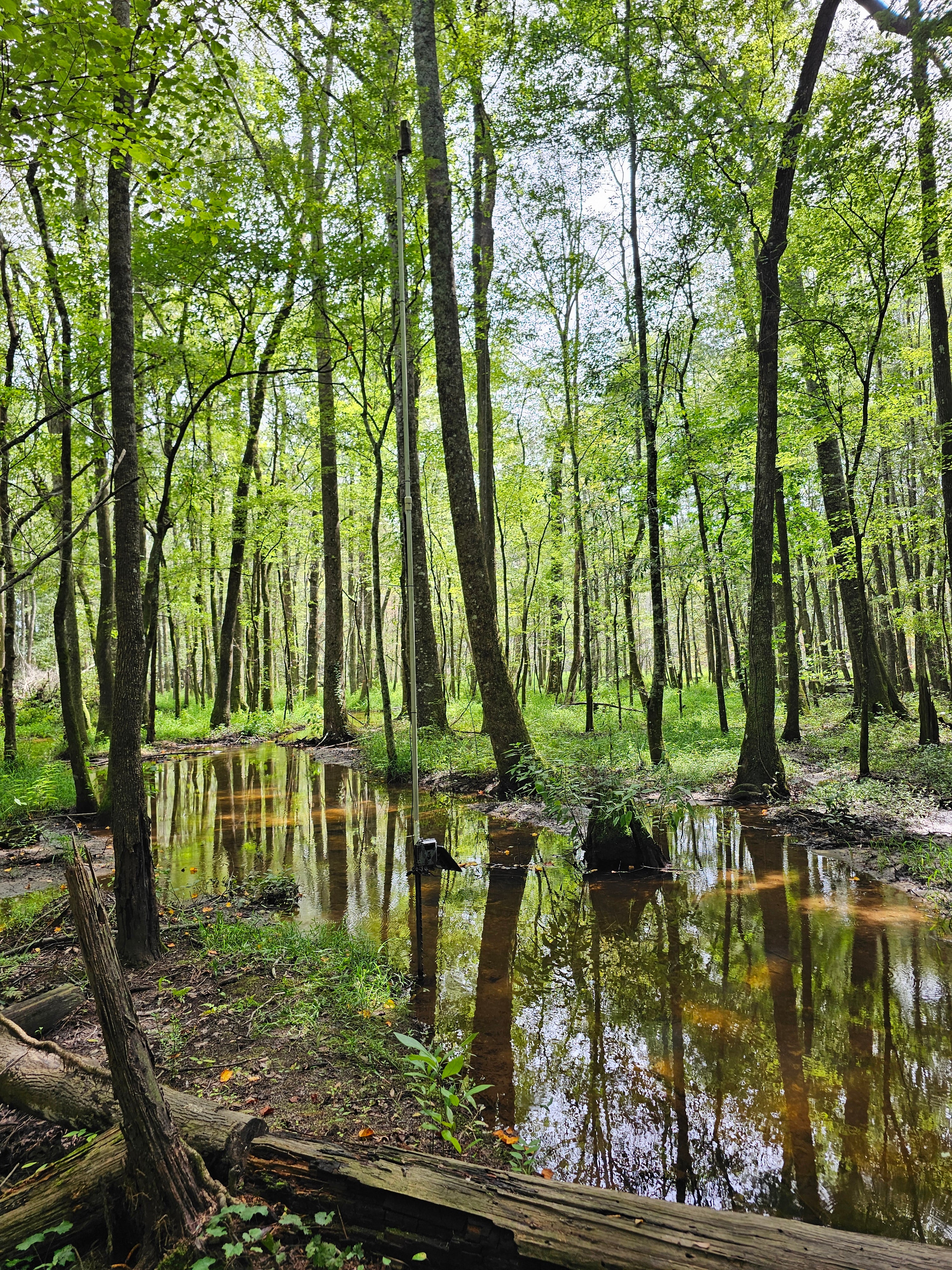 Cellular Trail Camera Booster Antenna Omni-Directional