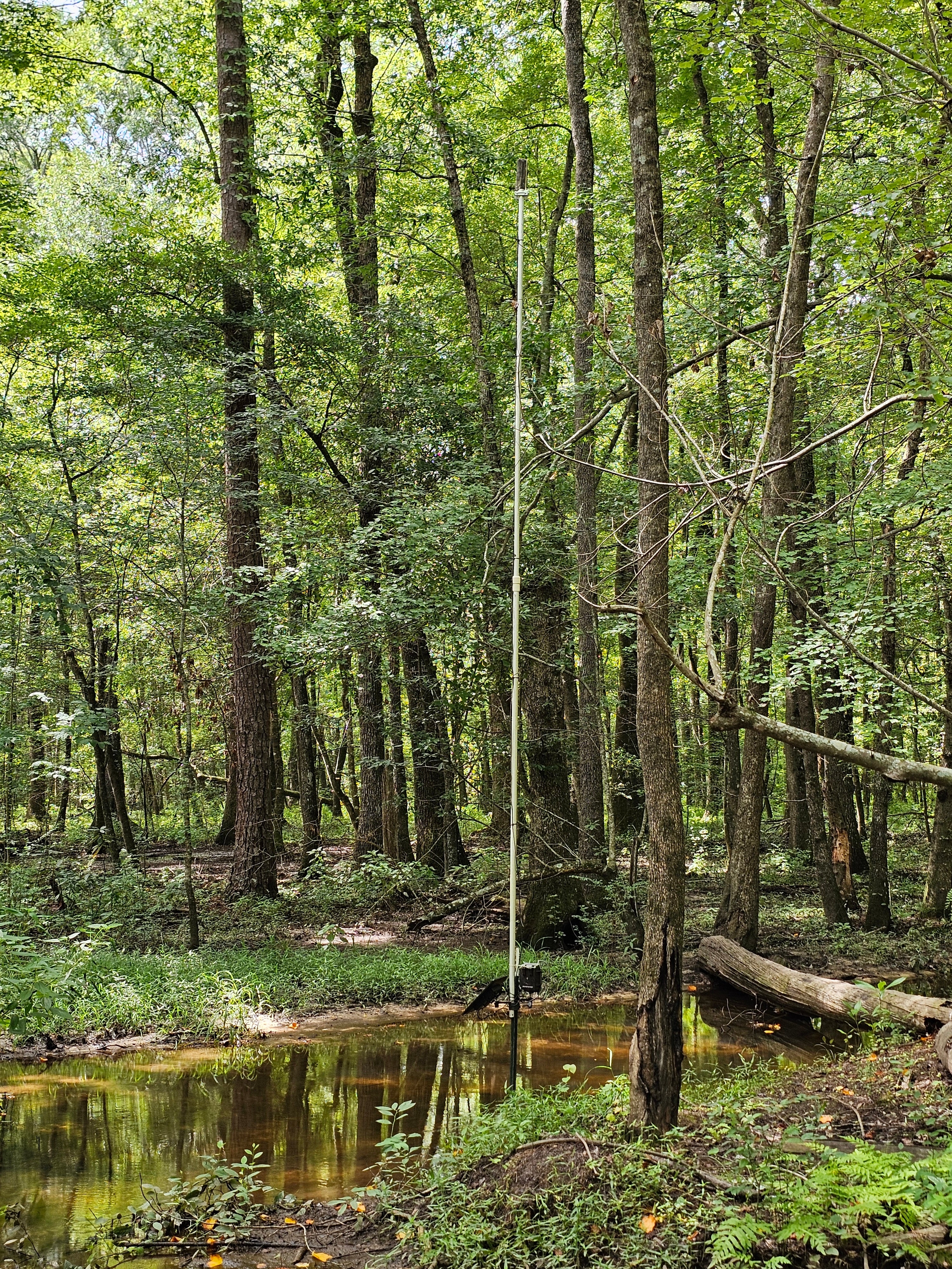Cellular Trail Camera Booster Antenna Omni-Directional