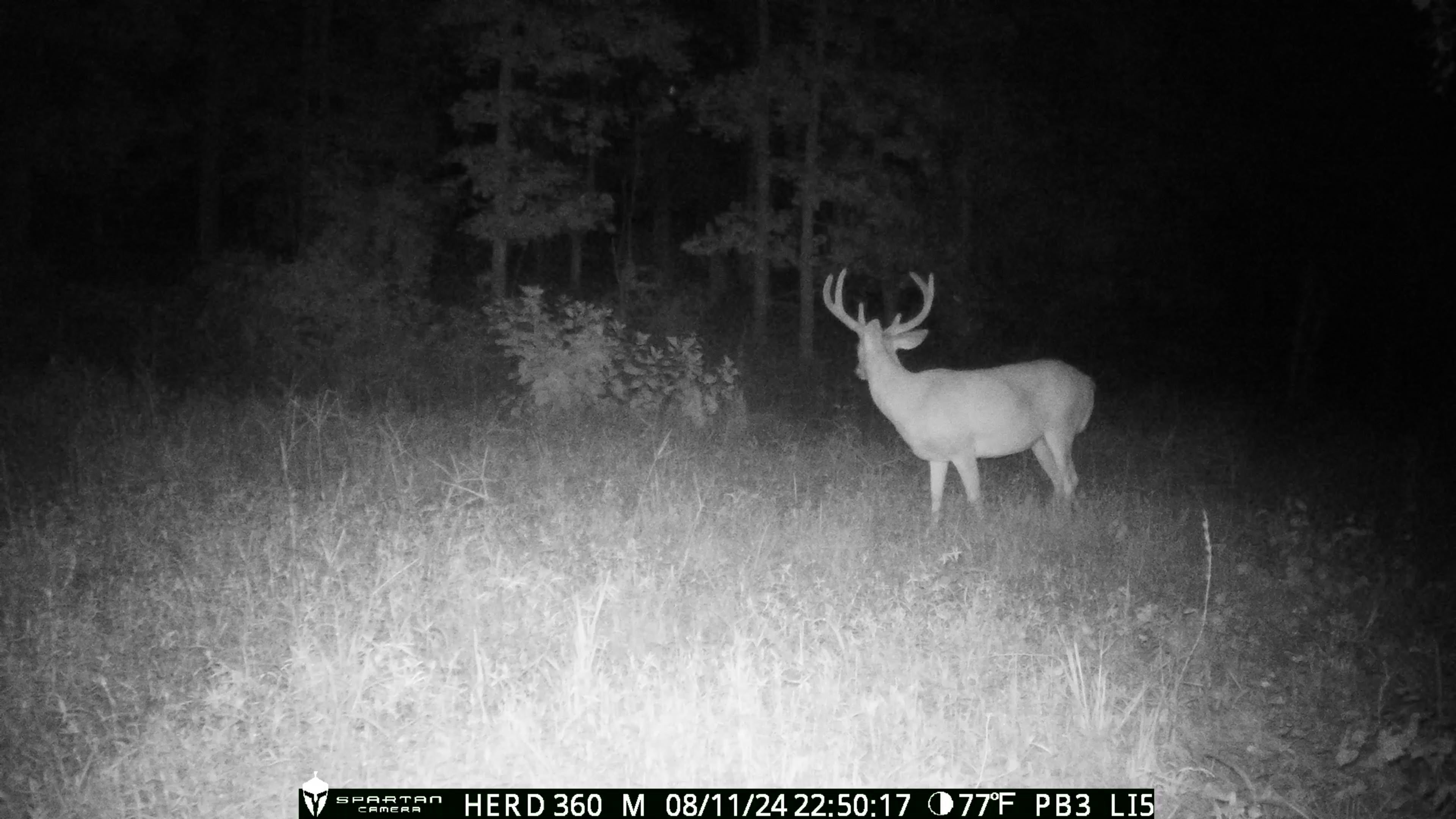 Spartan GoLive Live Stream Cellular Trail Camera $224.95