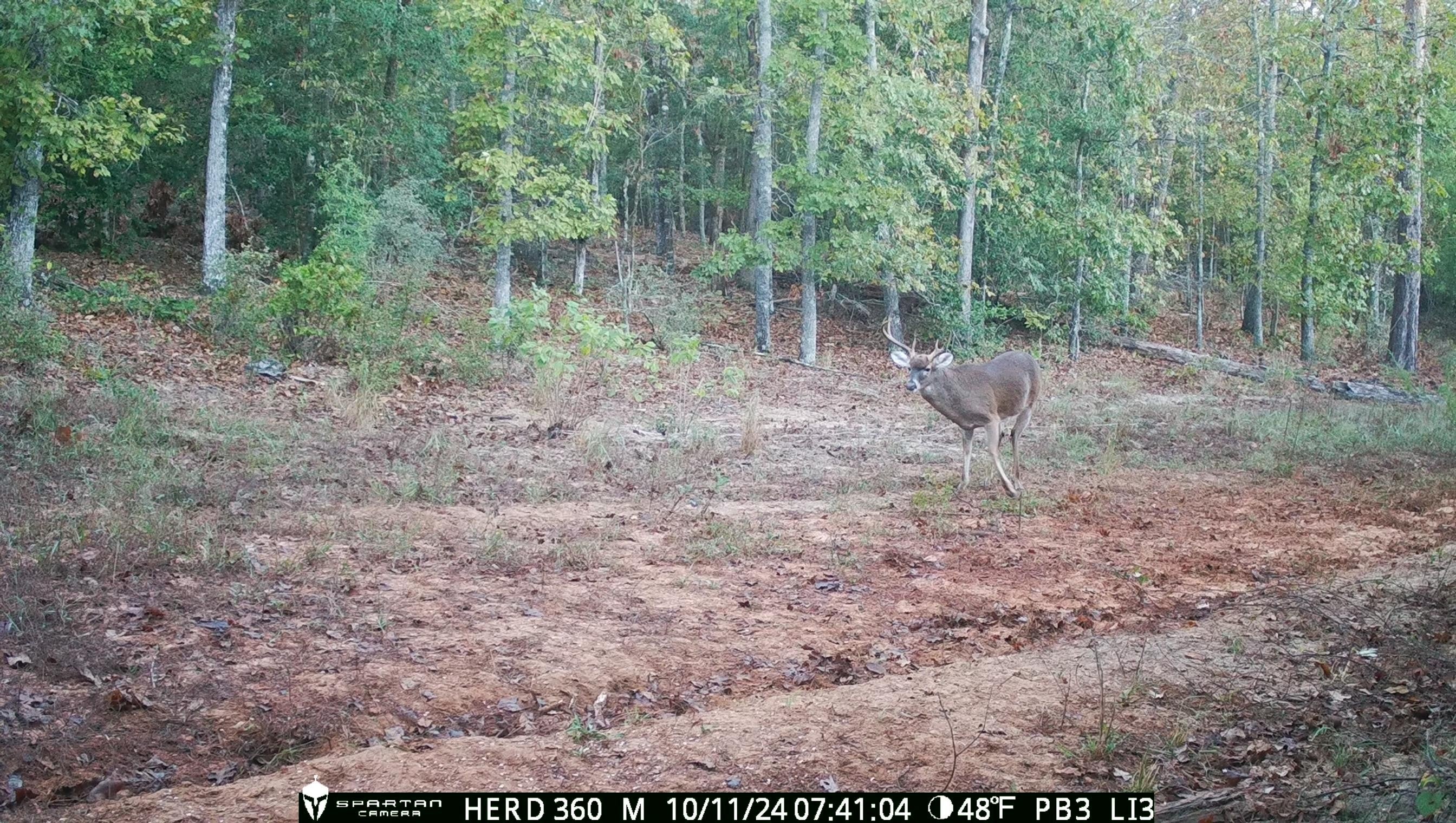 Spartan GoLive Live Stream Cellular Trail Camera $224.95