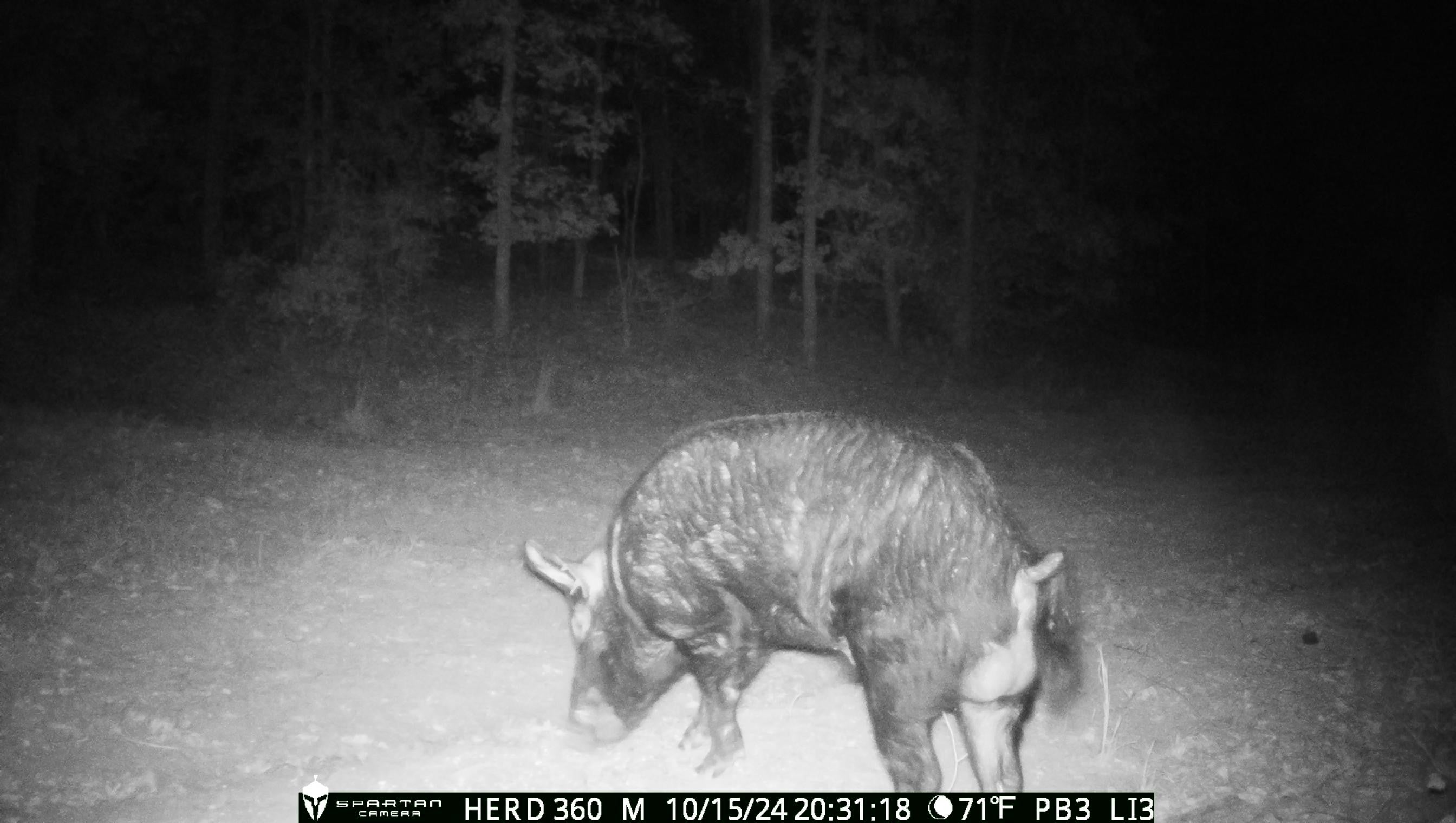 Spartan GoLive Live Stream Cellular Trail Camera $224.95