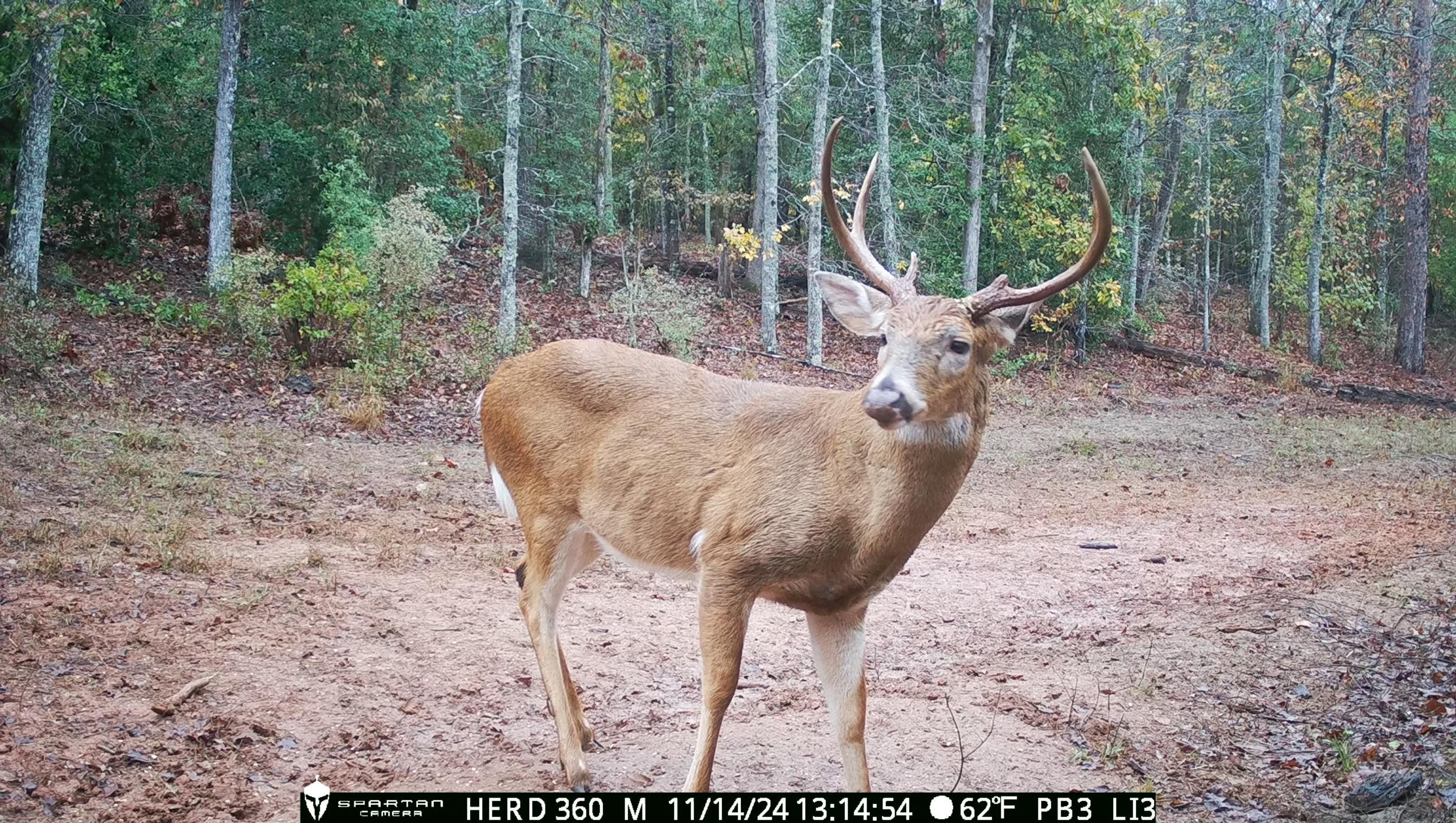 Spartan GoLive Live Stream Cellular Trail Camera $224.95