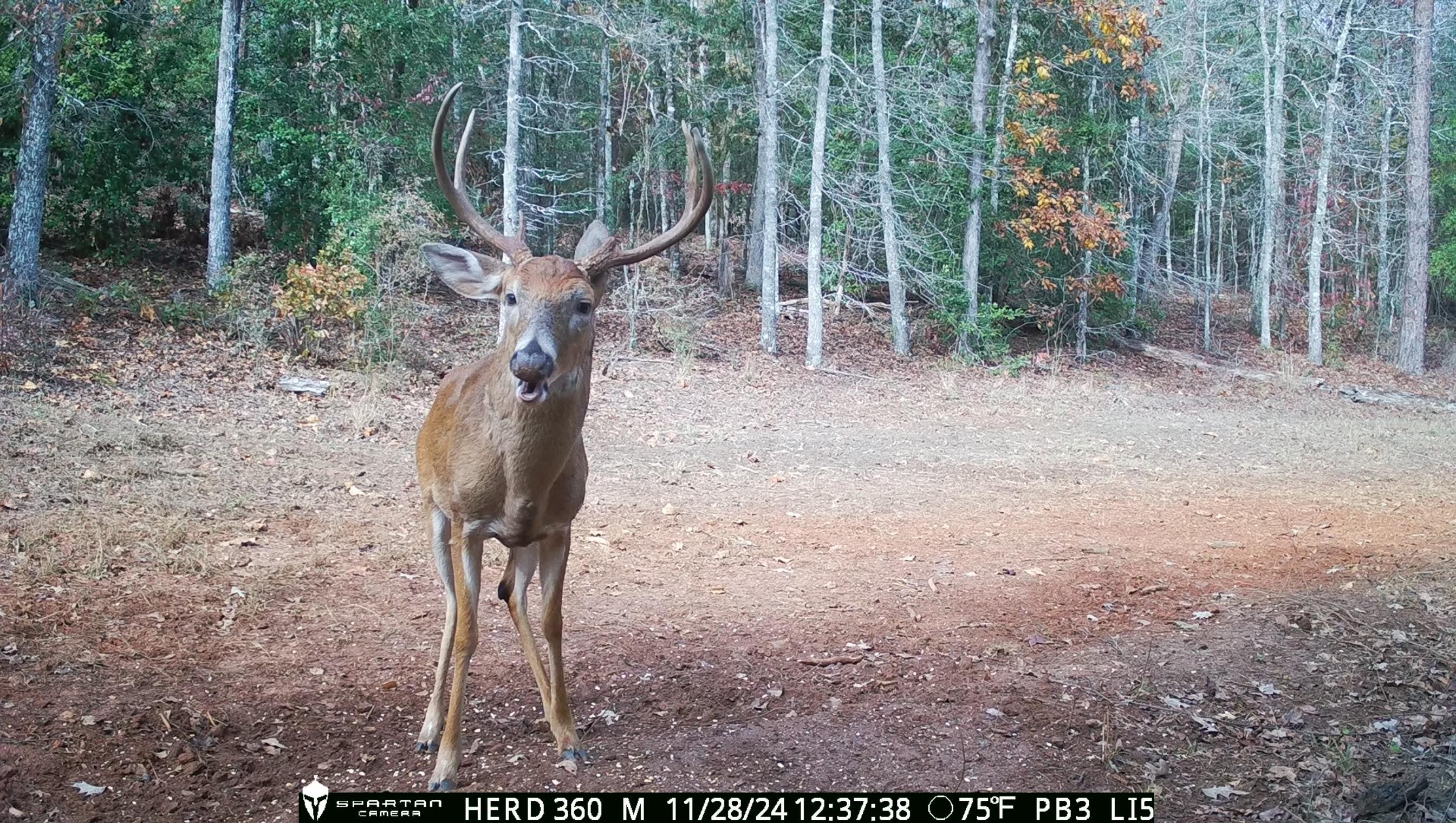 Spartan GoLive Live Stream Cellular Trail Camera $224.95