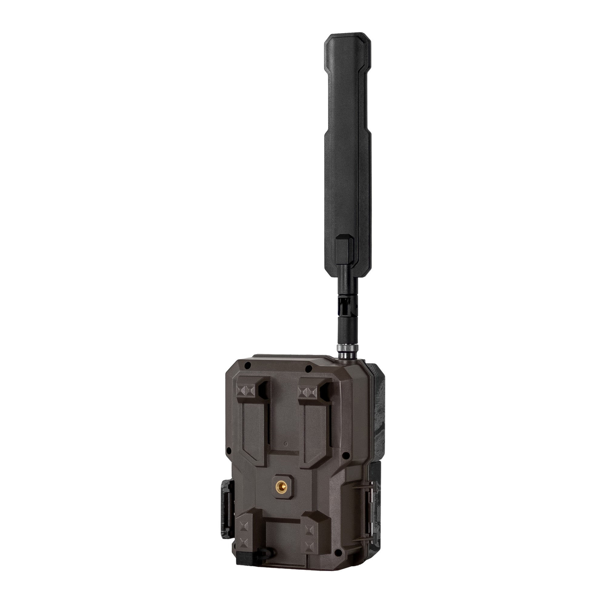 Spartan GoLive 3