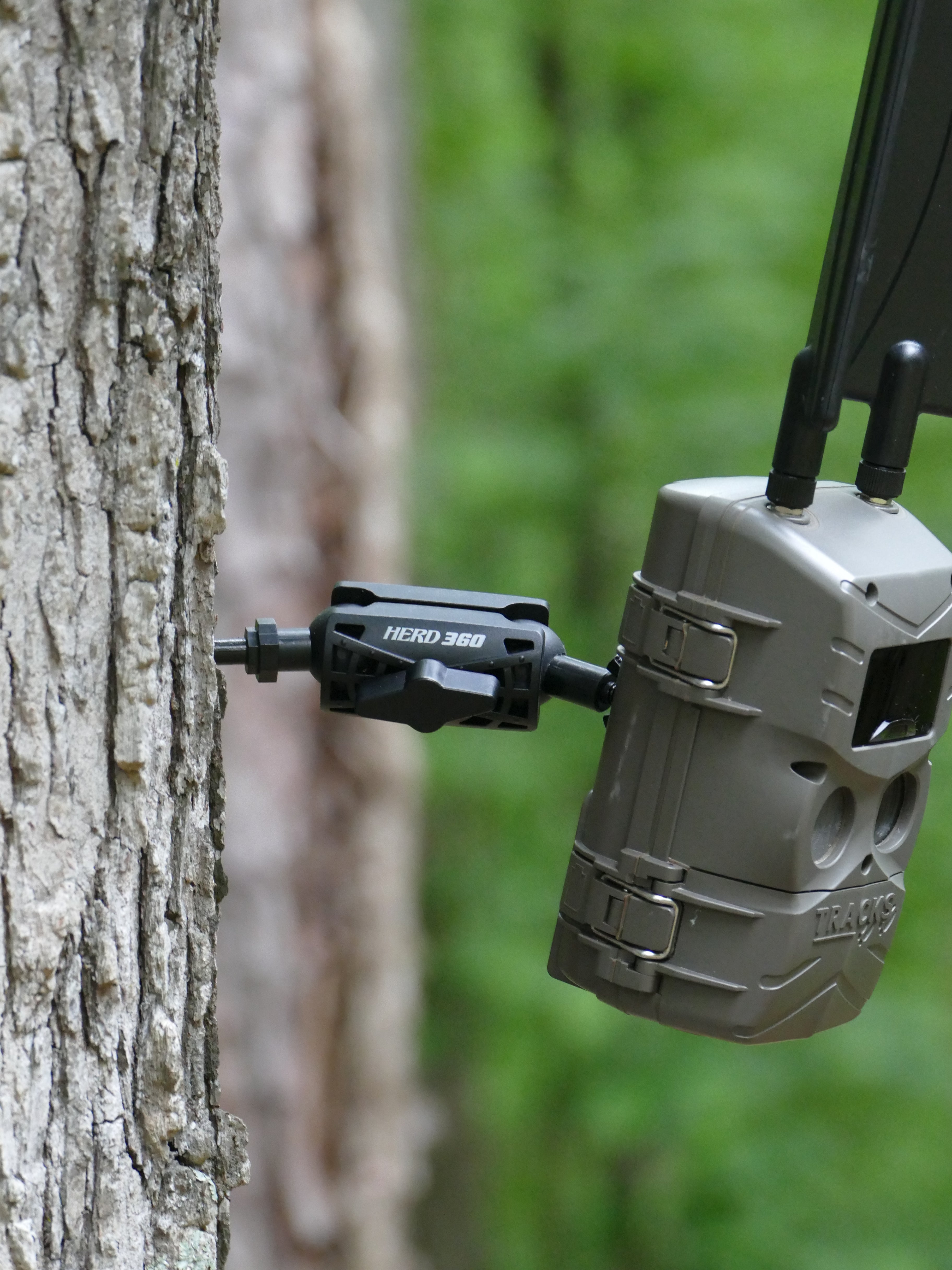 Tree Mount for Trail Camera Dual Ball Swivel - Main Image