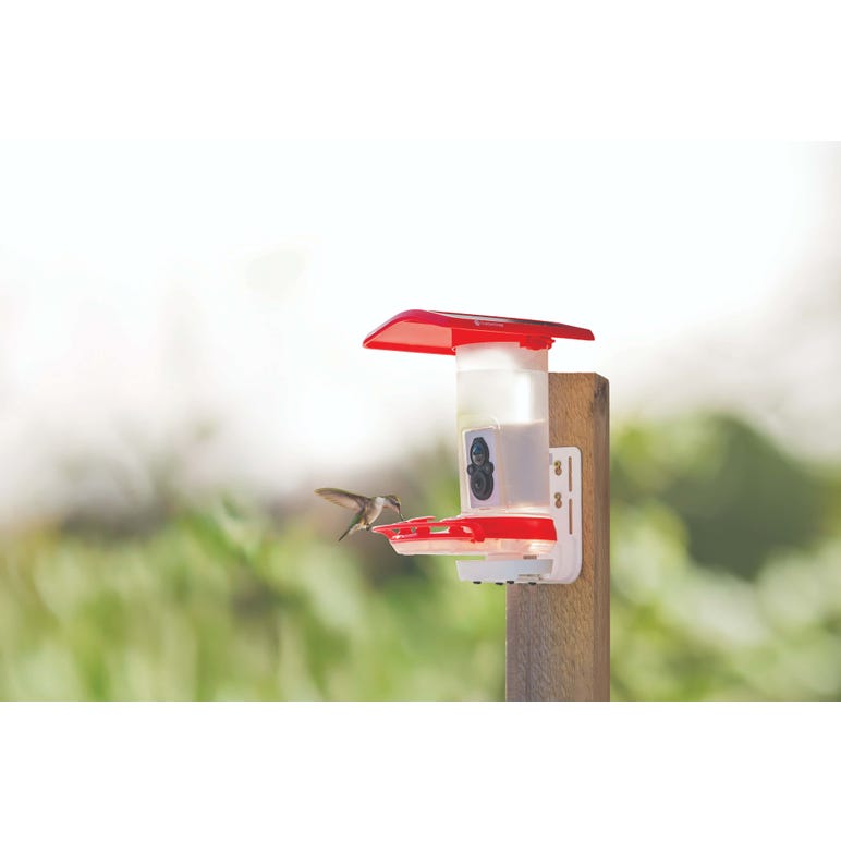 FeatherSnap Smart Hummingbird Feeder