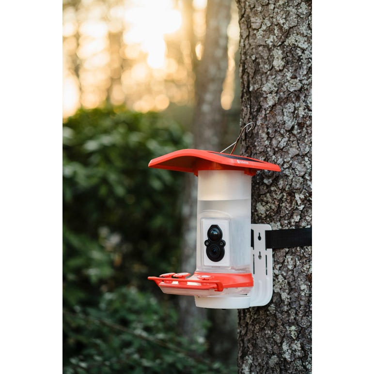 FeatherSnap Smart Hummingbird Feeder