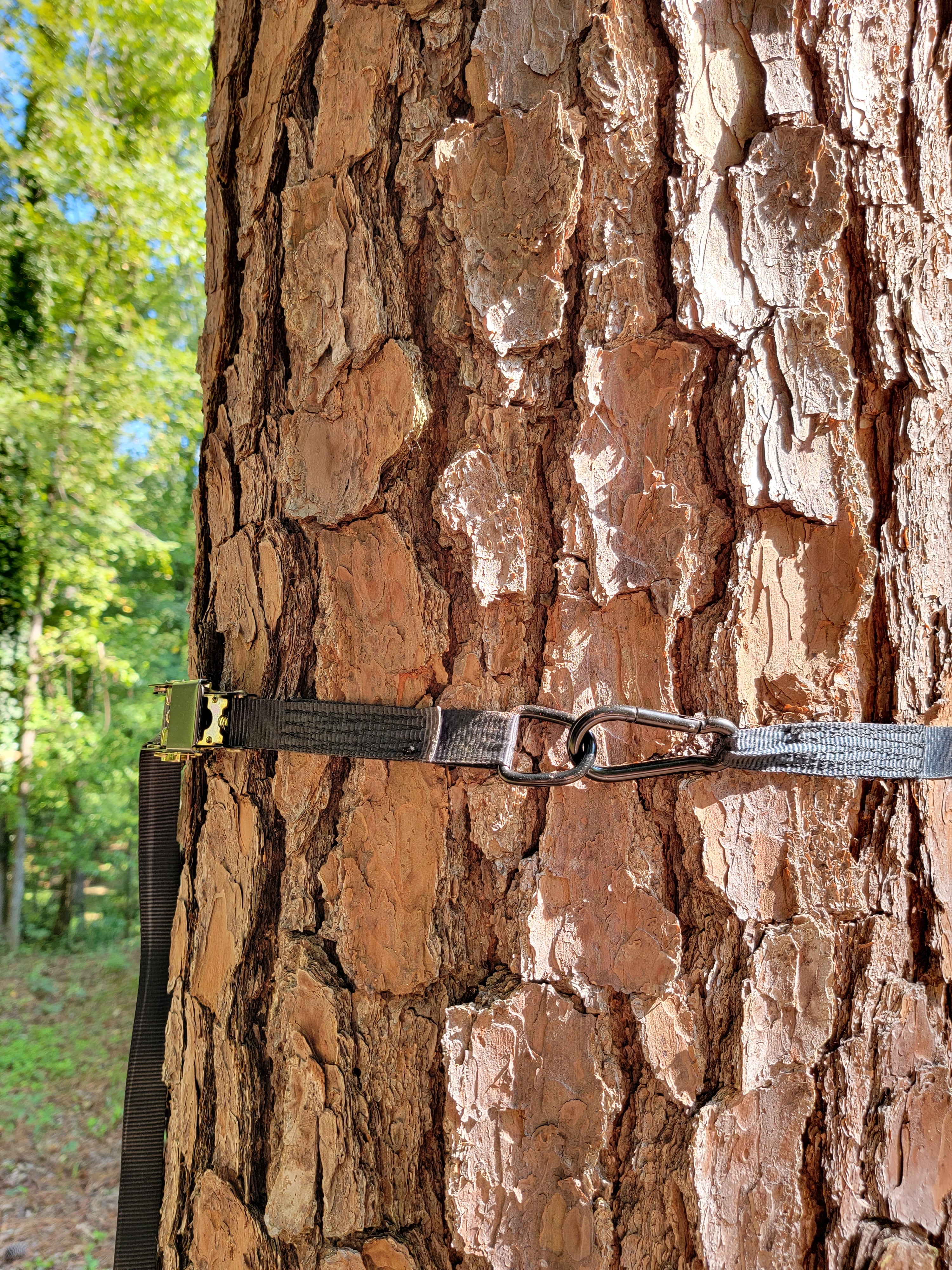 Dual Arm Trail Camera Mount Ratchet Strap