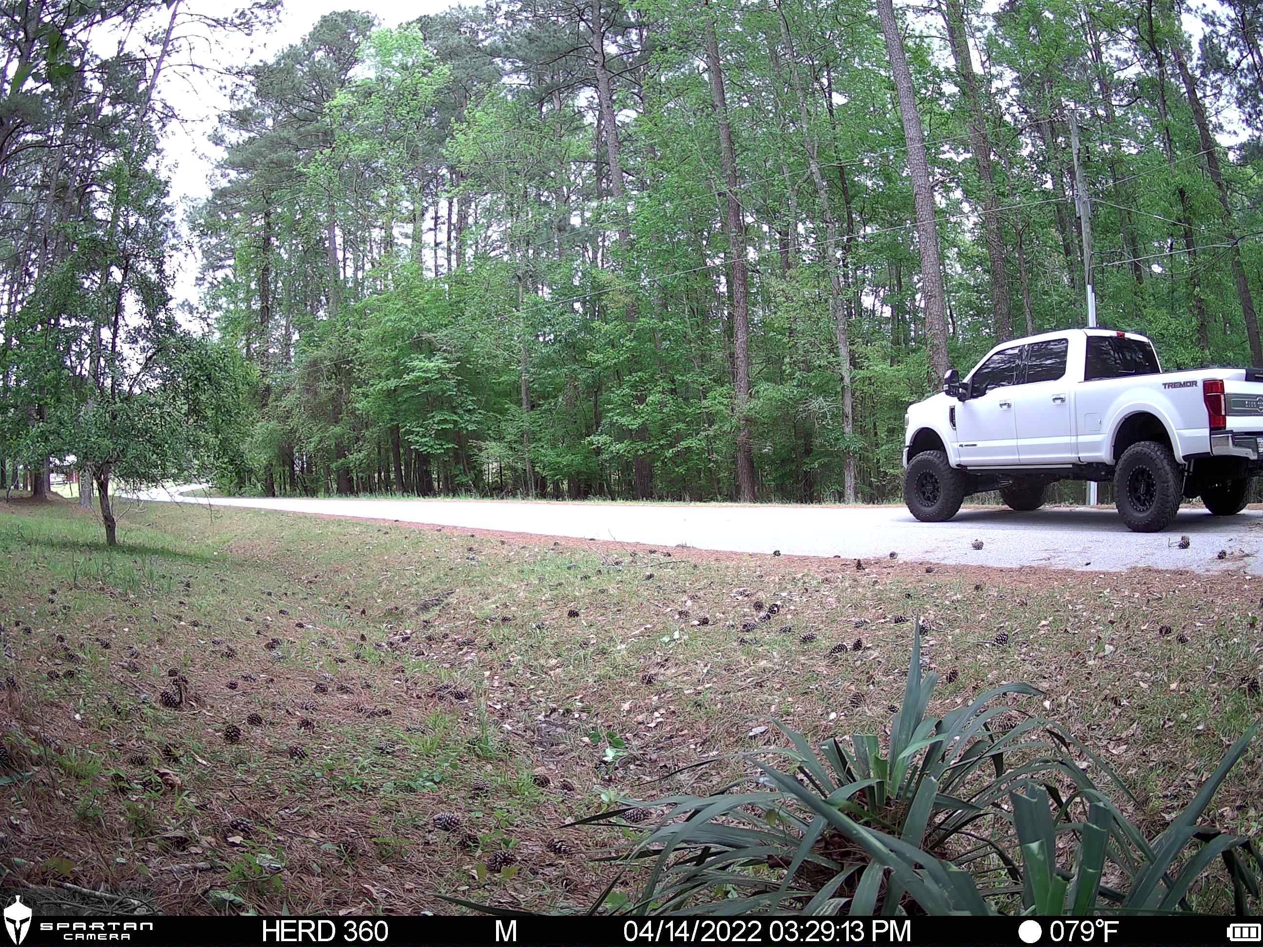 Spartan Eclipse No Glow Trail Camera