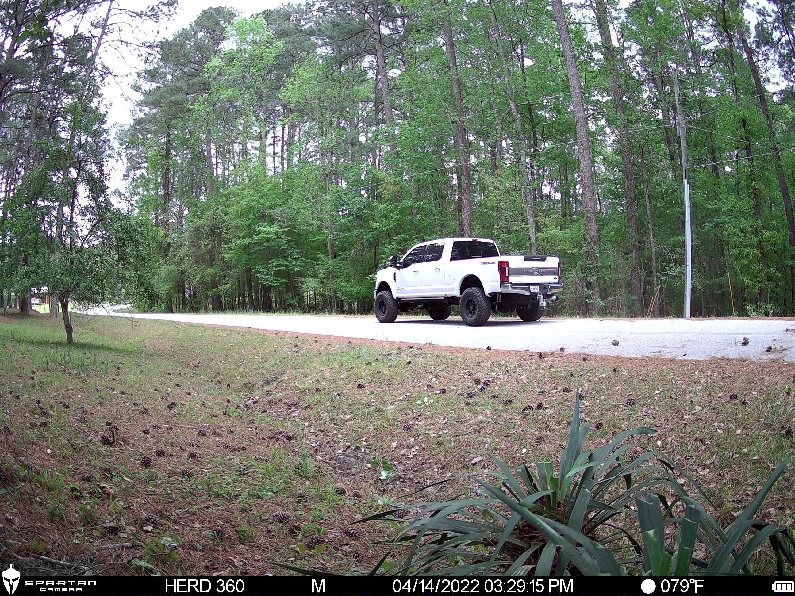 Spartan Eclipse No Glow Trail Camera