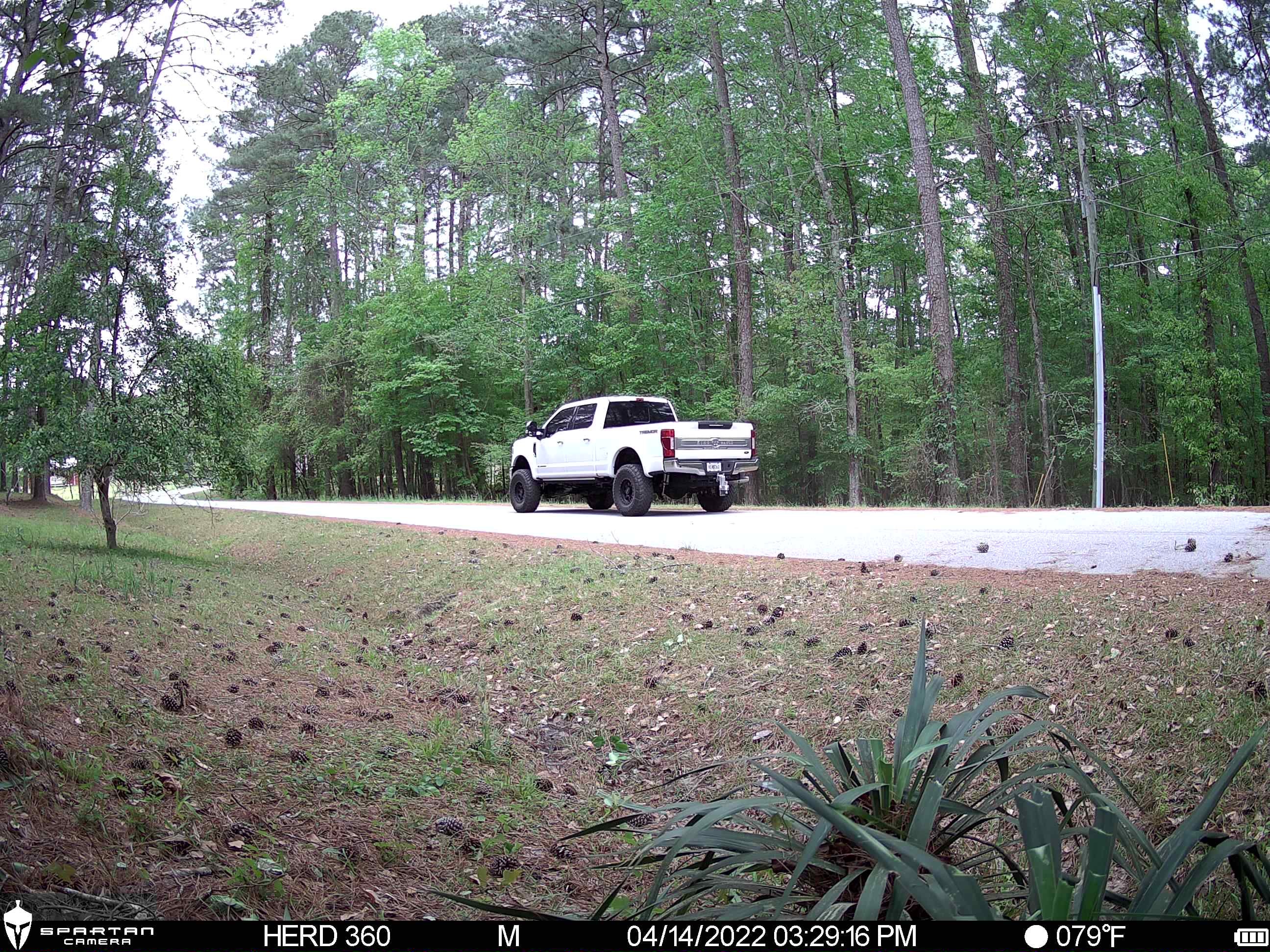 Spartan Eclipse No Glow Trail Camera