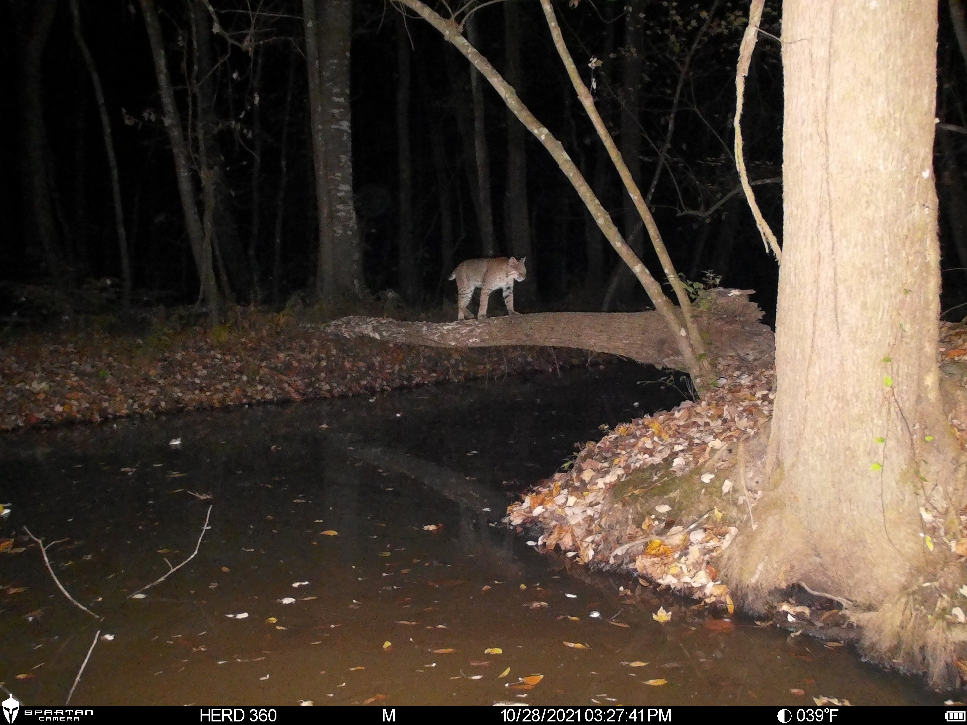 Spartan Lumen 2 SR5 White Flash Trail Camera (New Edition)