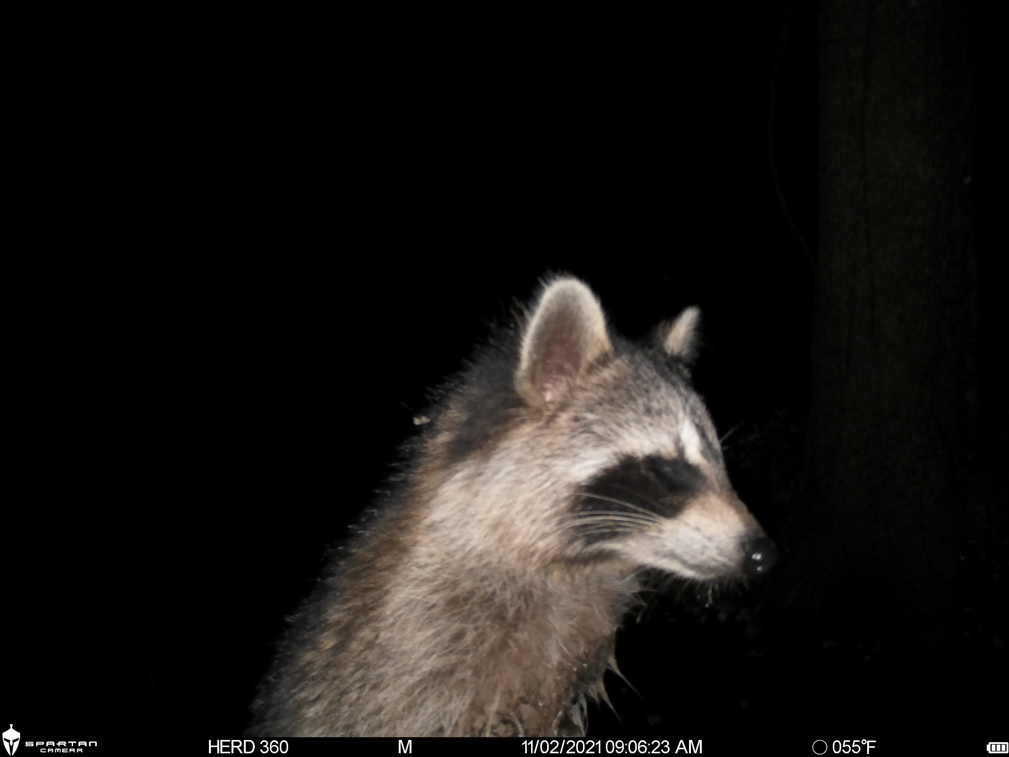 Spartan Lumen 2 SR5 White Flash Trail Camera (New Edition)