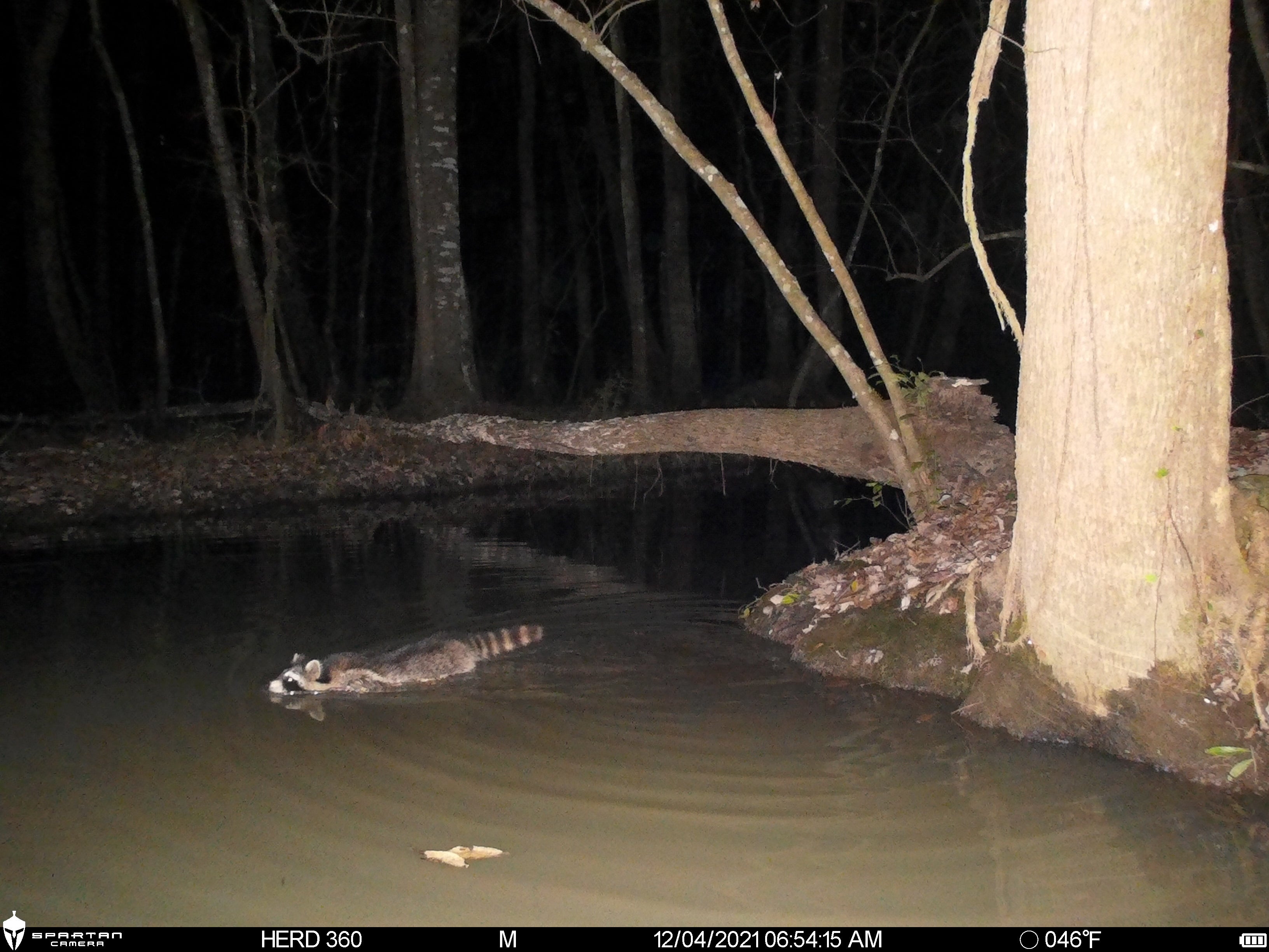 Spartan Lumen 2 SR5 White Flash Trail Camera (New Edition)