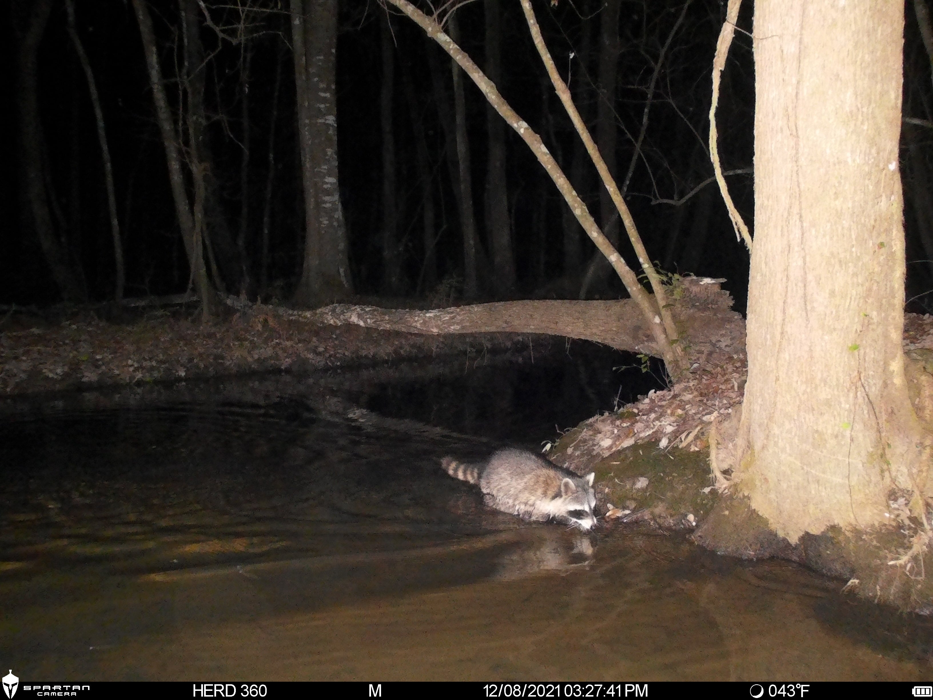 Spartan Lumen 2 SR5 White Flash Trail Camera (New Edition)