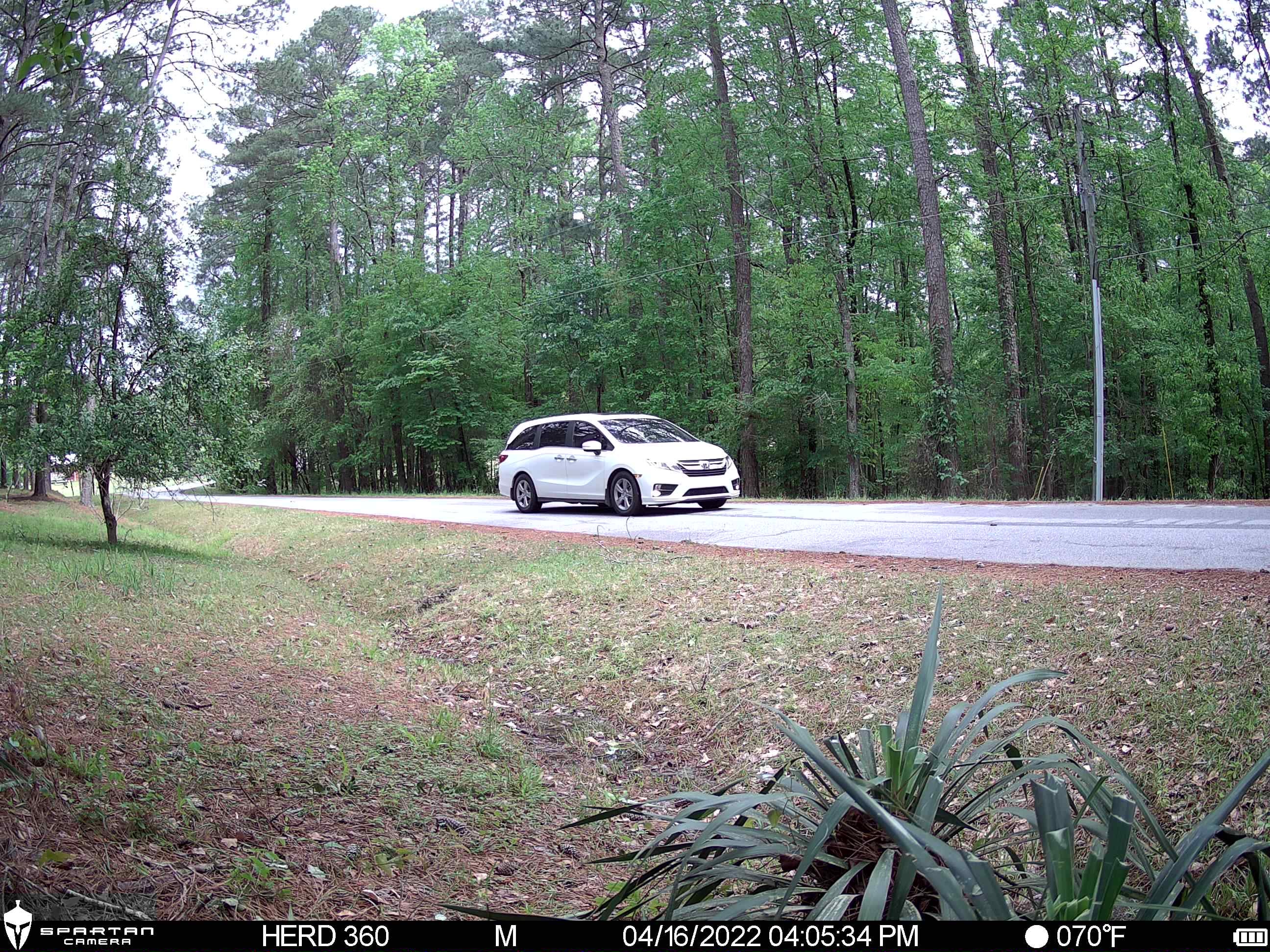 Spartan Eclipse No Glow Trail Camera