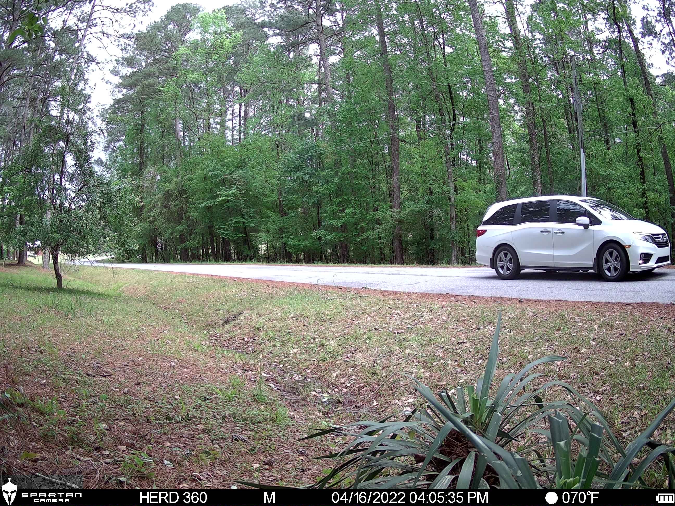 Spartan Eclipse No Glow Trail Camera