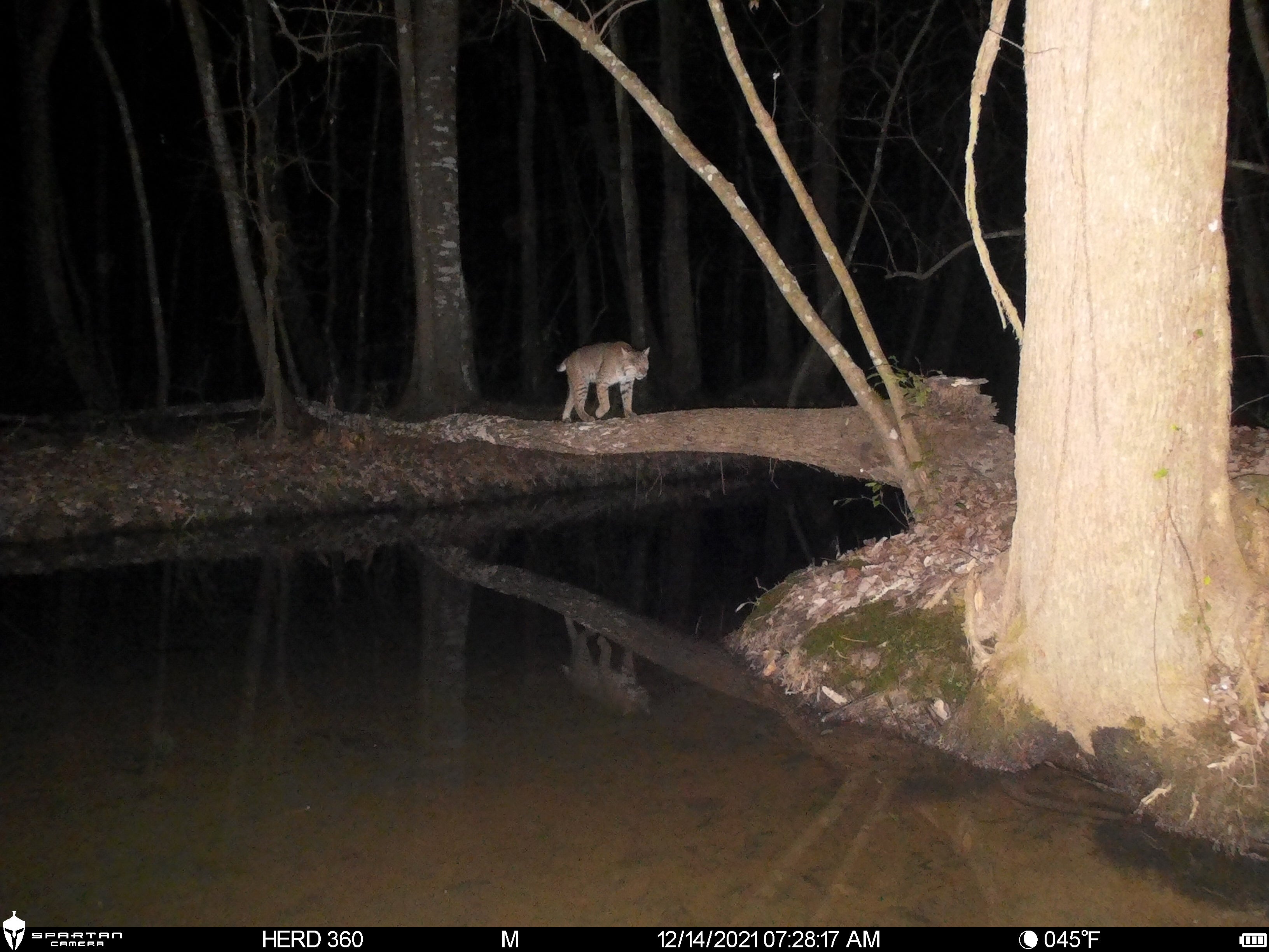 Spartan Lumen 2 SR5 White Flash Trail Camera (New Edition)