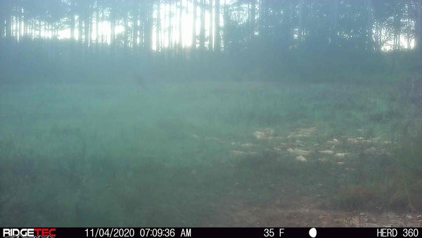 Why are my Trail Camera Pictures Foggy Sometimes