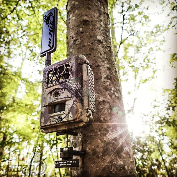 So You Want To Buy A Cellular Trail Camera