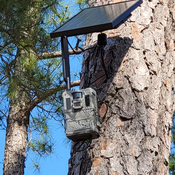 nest cellular camera