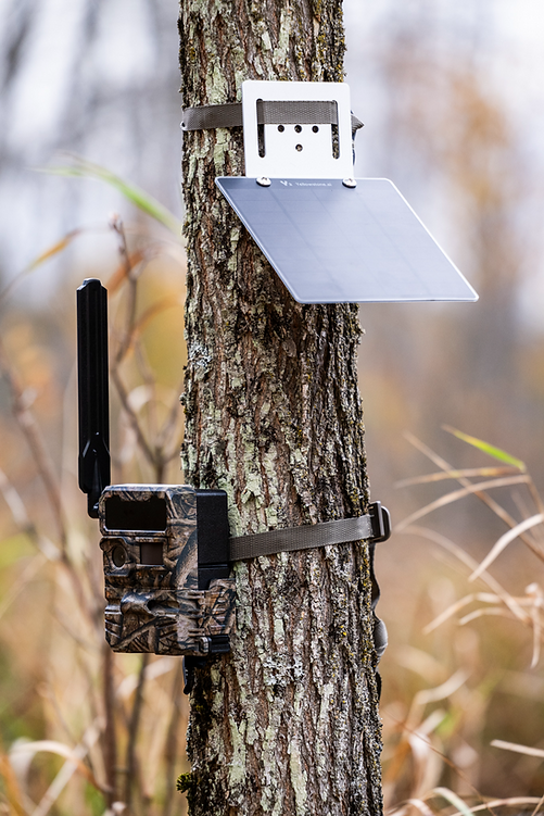 Yellowstone.ai Y2 4G Cellular Trail Camera Lithium and Solar Bundle