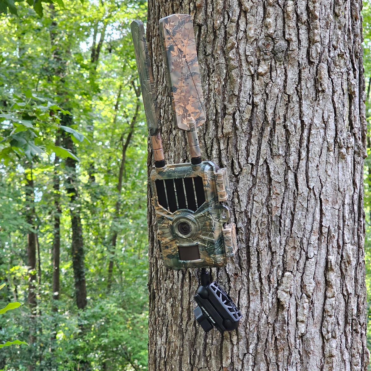 Tree Mount Tree Mount for Trail Camera Dual Ball Swivel