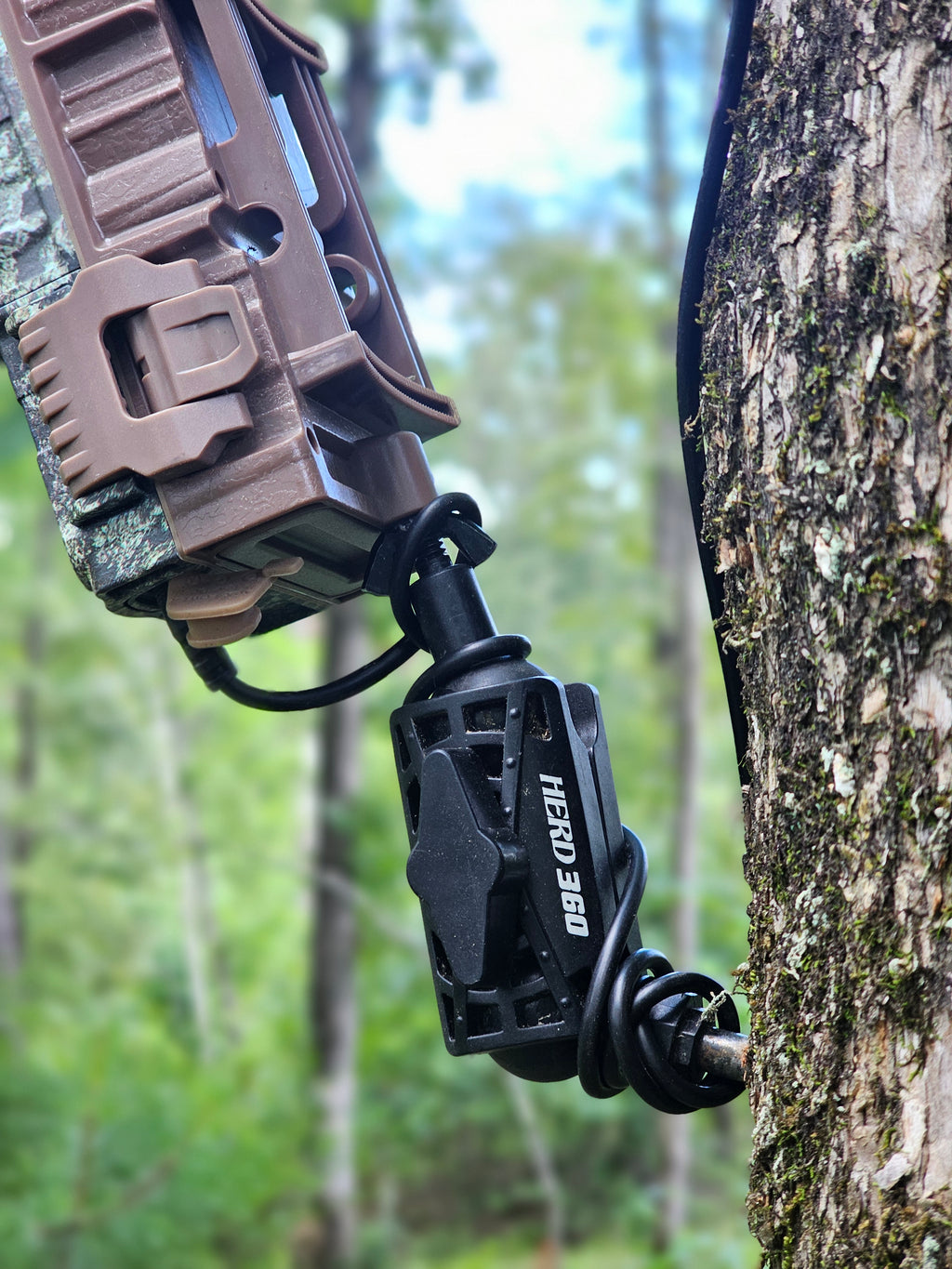 Tree Mount Tree Mount for Trail Camera Dual Ball Swivel