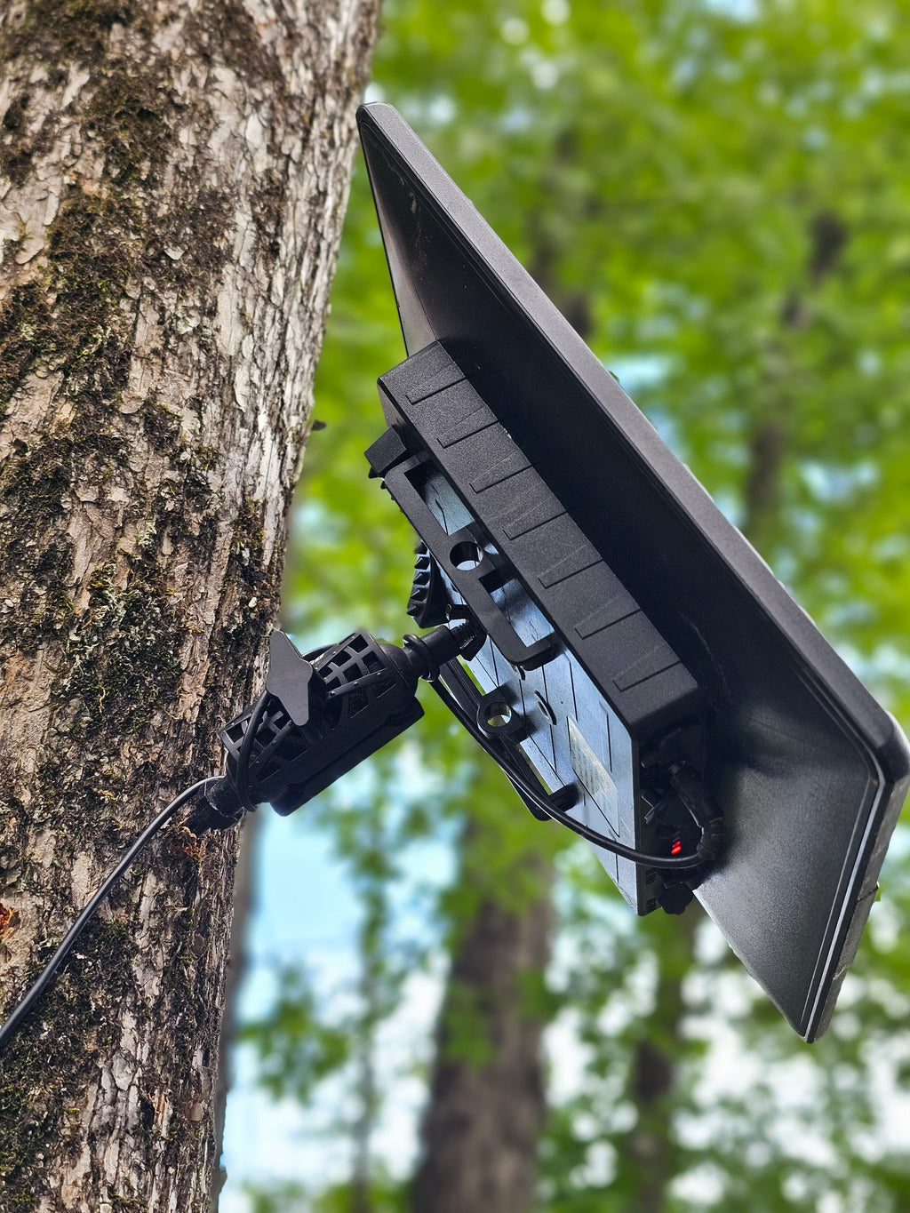 Tree Mount Tree Mount for Trail Camera Dual Ball Swivel