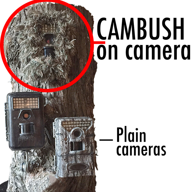 Cambush Trail Camera 3-D Camoflauge Kit
