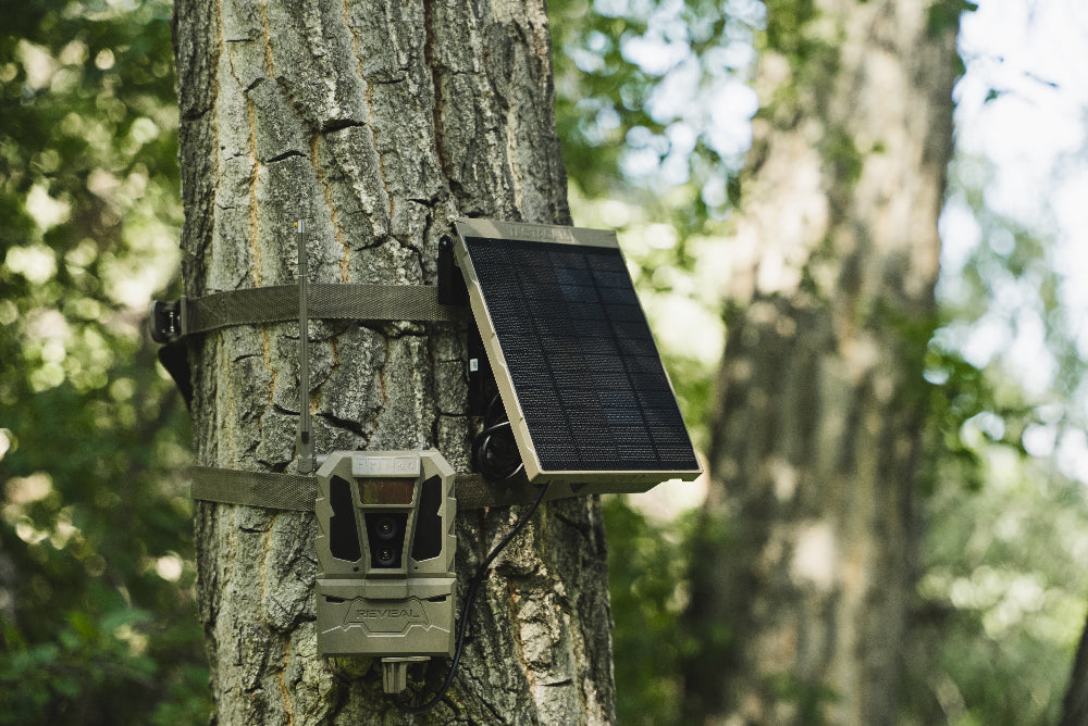 REVEAL by Tactacam Solar Panel R5