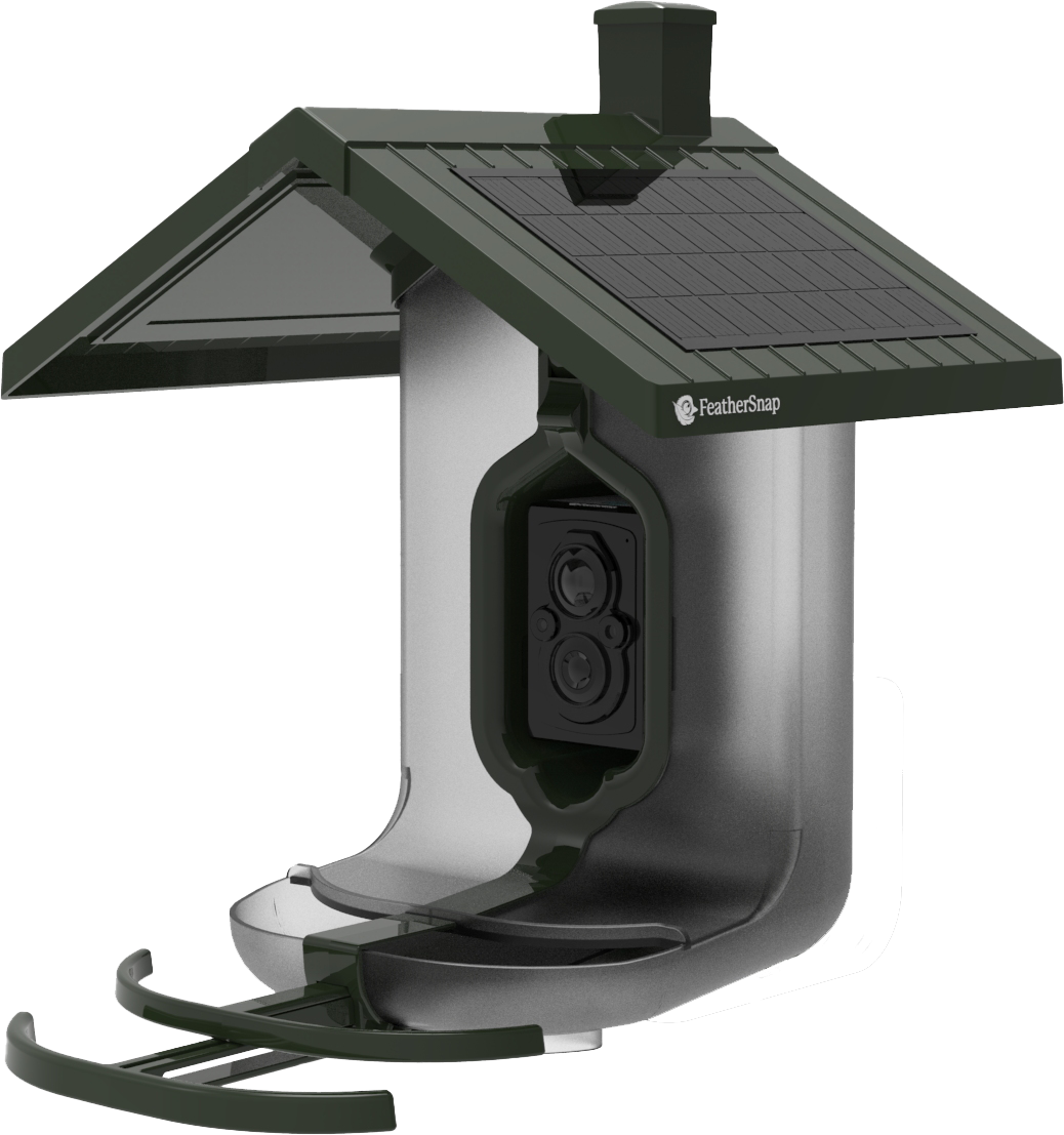 FeatherSnap Scout – Wi-Fi Solar Powered Smart Bird Feeder Holiday Sale 15% Off Automatically at checkout