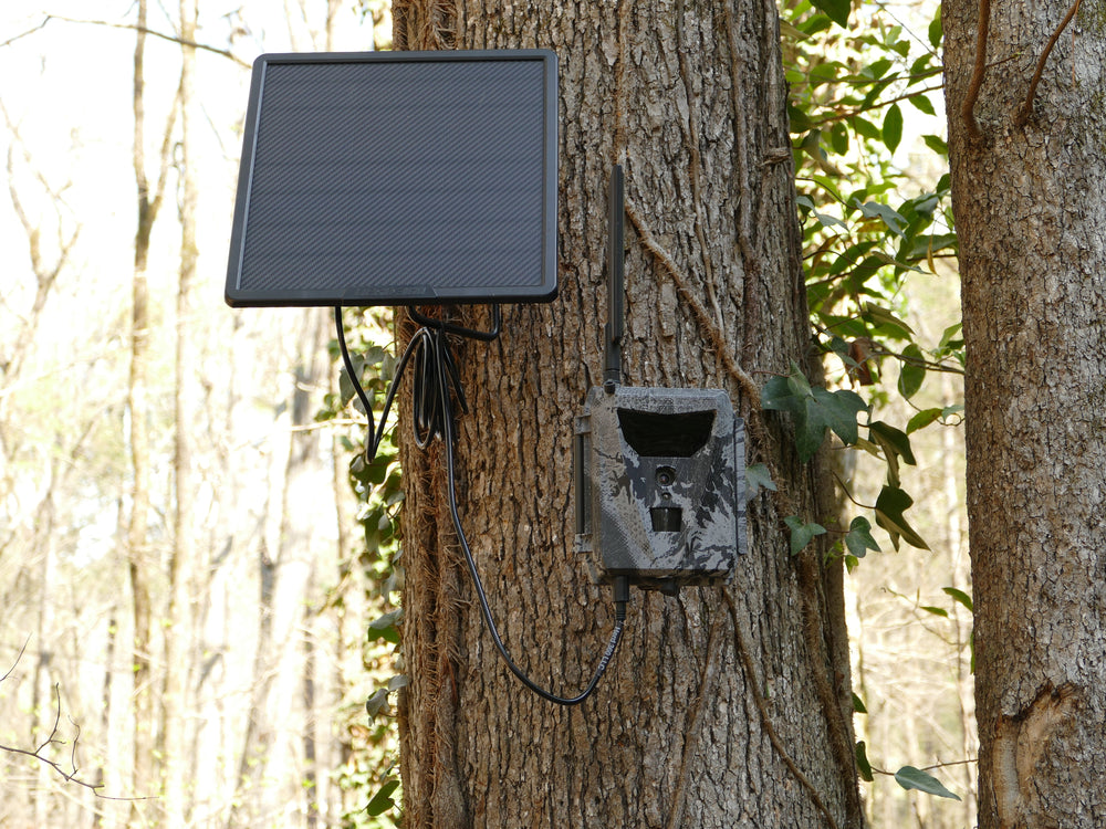 Trail Camera Solar Power