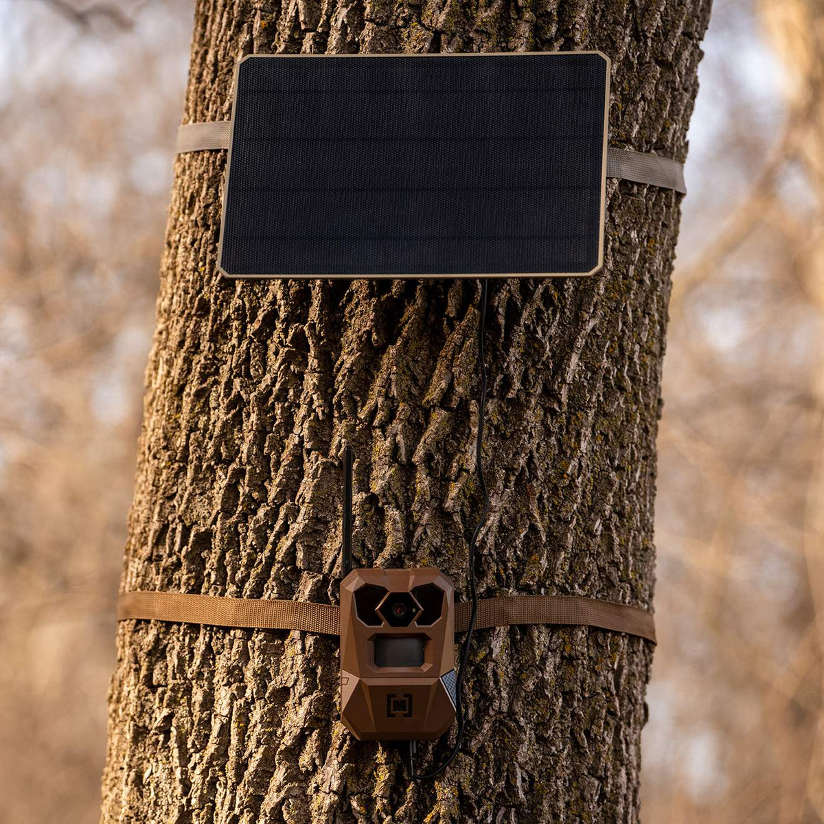Moultrie 11W Solar Power Pack