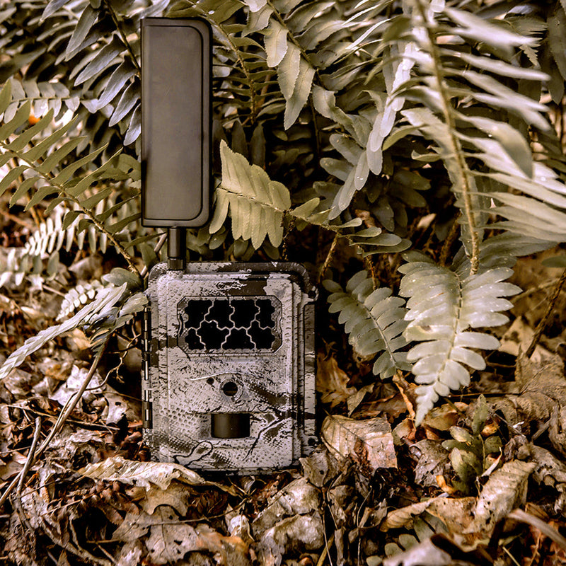 Spartan Gocam M 4G LTE Cellular Trail Camera
