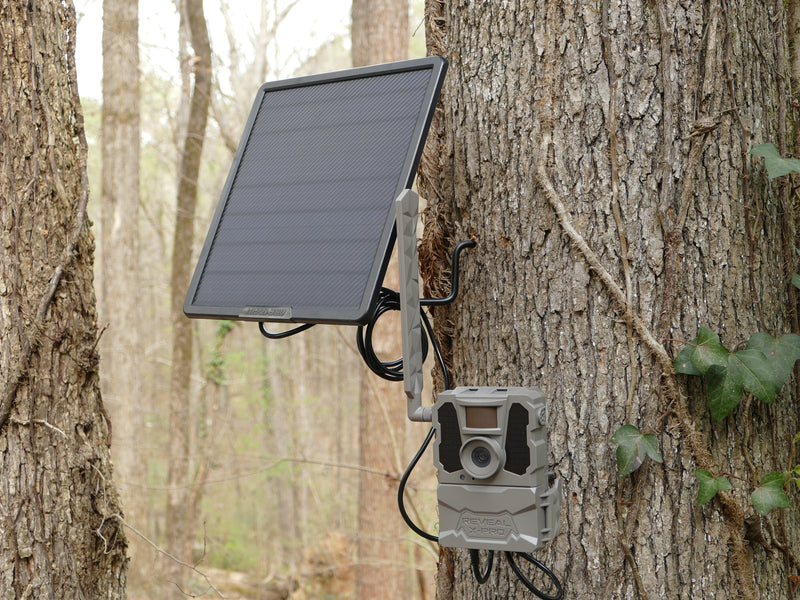 Solar panel with integrated battery for wildlife cameras and other 12V  electronic devices