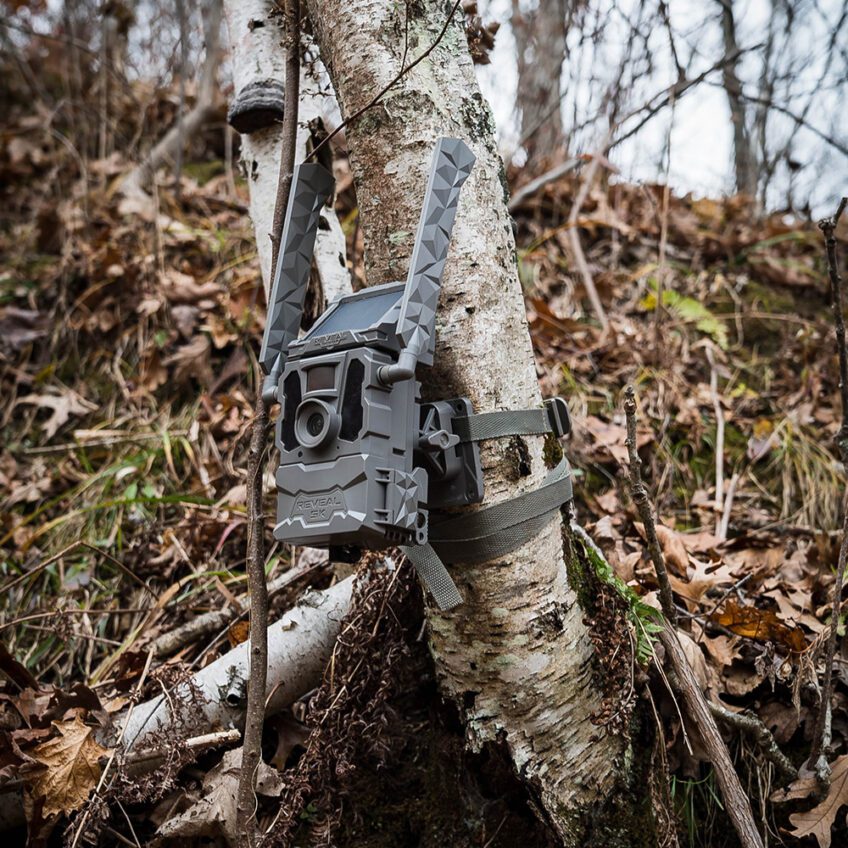 Tree Mount Tactacam Tree Mount