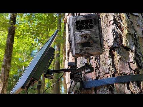 Dual Arm Trail Camera Mount Ratchet Strap