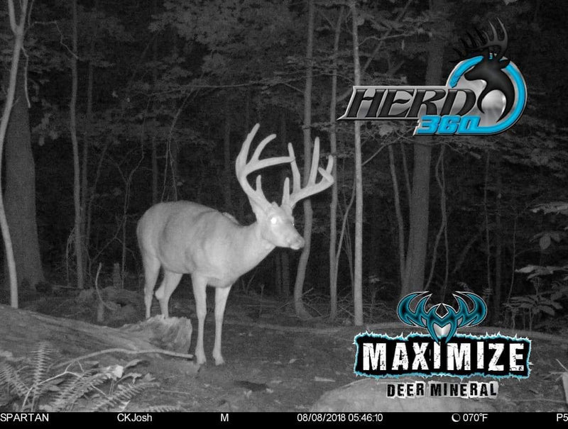 Max 360 Deer Mineral Free Ship on 20lb